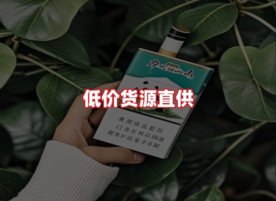专业团队